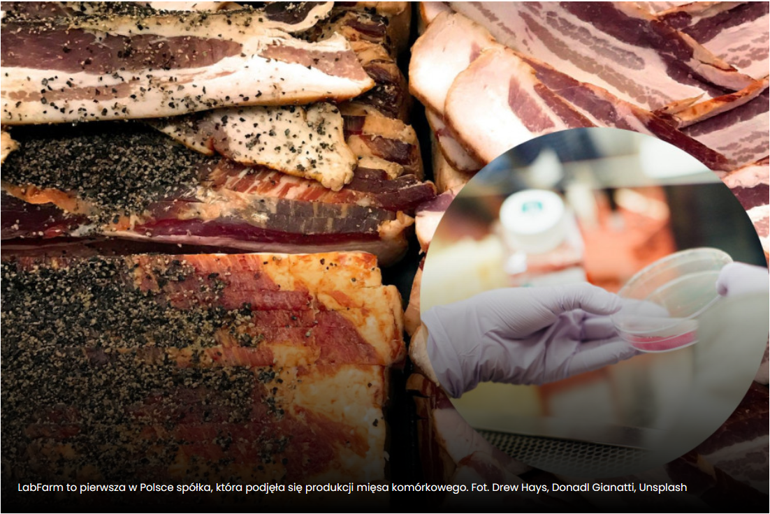 farmer.pl : LabFarm to pierwsza w Polsce spółka, która podjęła się produkcji mięsa komórkowego.